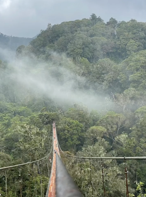 destinasi-rengganis-bridge